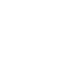 ケース要約生成